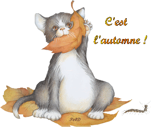 VIVE L'AUTOMNE
